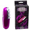 ���������� �������� AURA ������/����� 0355-01 BX DJ