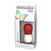   -   Masculan Play 