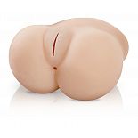 <strong>Мастурбатор вагина+анус Lil` Fuck Her</strong> <br />
Еще никогда секс не был таким жарким, а ощущения – столь захватывающими! Представьте – теперь вы можете делать это в любимой позиции и в любимом темпе столько, сколько пожелаете. <div class="charTableblock"> </div> Мастурбатор вагина+анус Lil` Fuck Her
Еще никогда секс не был таким жарким, а ощущения – столь захватывающими! Представьте – теперь вы можете делать это в любимой позиции и в любимом темпе столько, сколько пожелаете.