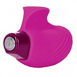  - ARIES  
   ARIES            .