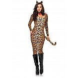 ����������� ������ �������-����� Cougar 
������� ������� ��� ���� ������� �������� � ������ �������� ��� ��������� ��������-������ � ������� ���������.