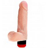 <strong>Упругий вибратор с большой мошонкой ART-Style - 17 см.</strong> <br />
Вибромассажер № это прекрасное предложение для тех, кто хочет разнообразить свой досуг приятными эротическими ощущениями. <div class="charTableblock"><div><span>Длина, см</span>: 18.00</div><div><span>Диаметр, см</span>: 4.00</div><div><span>Материал</span>: киберкожа</div><div><span>Длина, см</span>: 17-20</div><div><span>Диаметр, см</span>: 4</div><div><span>Производитель</span>: Биоклон, Россия</div></div> Упругий вибратор с большой мошонкой ART-Style - 17 см.
Вибромассажер № это прекрасное предложение для тех, кто хочет разнообразить свой досуг приятными эротическими ощущениями.