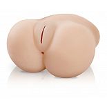 ������ � ���� Lil Fuck Her 
���� ��� ������� �������? ����� ������� ����� ����� �������� ���� ������� �� ��� ������? �, �����, �� ������ �������� �� ����� �������? ����� ������ �� ����! ����������� Lil  Fuck Her ������� ����� ����������� ��� �������������   �������� � �����������.