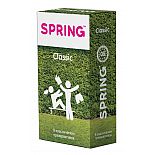  SPRING CLASSIC - 9 . 
  SPRING CLASSIC.