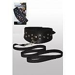 �������  ���� 
