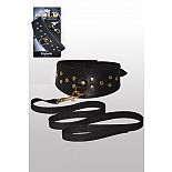 �������  ���� 
