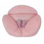 ������ �������  
������ �������&nbsp;&nbsp;&ndash; ��� ������������� ����-������� ��� ��������� ��������� ������� ����.