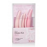 <strong>Набор вагинальных массажеров из силикона (5 фаллоимитаторов разного размера) INSPIRE SILI DILATOR 5 P</strong> <br />
Набор вагинальных тренажеров для восстановления интенсивности стенок влагалища. <div class="charTableblock"> </div> Набор вагинальных массажеров из силикона (5 фаллоимитаторов разного размера) INSPIRE SILI DILATOR 5 P
Набор вагинальных тренажеров для восстановления интенсивности стенок влагалища.