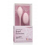 <strong>Вибромассажер INSPIRE VIB RMT KEGEL EXERCISR</strong> <br />
Вибро-тренажер Inspire Kegel Exerciser помогает подтянуть, укрепить и восстановить контроль над органами малого таза. <div class="charTableblock"> </div> Вибромассажер INSPIRE VIB RMT KEGEL EXERCISR
Вибро-тренажер Inspire Kegel Exerciser помогает подтянуть, укрепить и восстановить контроль над органами малого таза.