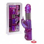 ������� ��������-��������� 
������� ���������������� ��������-��������� � ������������ ������������ � ����� �������� � ����������� �������� ��������������.