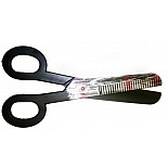 �������� ������� 
�������� �������