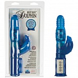   DOLPHIN 1778-12 CD SE 
-      .