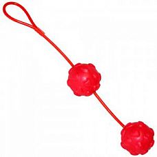 <strong>Красные вагинальные шарики из силикона Sweet Hearts Duo Loveballs </strong> <br />
Вагинальные шарики двойные со смещенным центром тяжести красного цвета.<div class="charTableblock"> </div> Красные вагинальные шарики из силикона Sweet Hearts Duo Loveballs
Вагинальные шарики двойные со смещенным центром тяжести красного цвета.