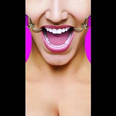    Hook Gag 
           .