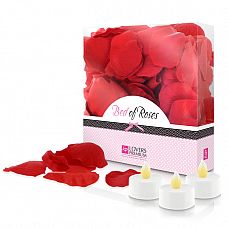 �������� ����� Lovers Premium Bed of Roses Red 
������� ���� ��������� &ndash; ������� ���������� ��� ������� ��� ���� � ������.