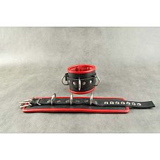 ׸���� ��������� ��������� � 3 �������� D-�������� � ������� ��������� 
��������� ��������.