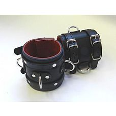 ������� �������� ��������� � 2 ���������, 3 D-�������� � ������� �������� 
�������� - 2 ������� � ��������  � 3 �������� D-��������, ��� �������������� ��������  �������� � ������� �����  ���� ������ ������ � ������� �����.