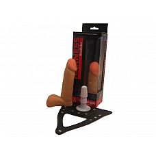 <strong>Реалистичный фаллоимитатор с мошонкой на трусиках Харнесс - 16,5 см.</strong> <br />
Интим-игрушка имеет нежный рельефный ствол с небольшими венками, гладкую пухленькую головку и кругленькие яички.<div class="charTableblock"><div><span>Длина, см</span>: 16.5</div><div><span>Диаметр, см</span>: 4.1</div><div><span>Длина, см</span>: 13-16</div><div><span>Диаметр, см</span>: 4</div><div><span>Материал</span>: ПВХ (PVC)</div><div><span>Цвет</span>: телесный</div><div><span>Особенности</span>: комплект; vac-u-lock</div></div> Реалистичный фаллоимитатор с мошонкой на трусиках Харнесс - 16,5 см.
Интим-игрушка имеет нежный рельефный ствол с небольшими венками, гладкую пухленькую головку и кругленькие яички.