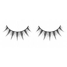 ׸   Premium 
           .