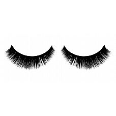    Premium 
,             .