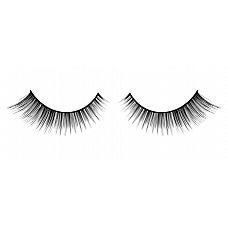 ׸   Deluxe 
              .