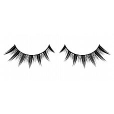 ׸   Premium 
            .