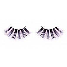 -  
     ,      ,   .