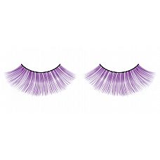    Deluxe 
           .