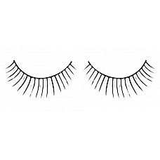    Deluxe 
              .