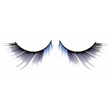 -  Deluxe 
              .