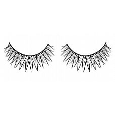       Deluxe 
            .