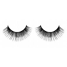      Deluxe 
             .