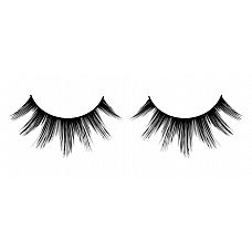 ׸     Deluxe 
           .