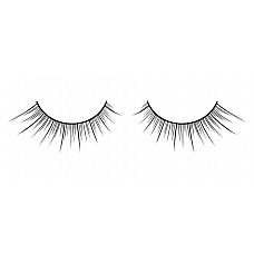 ׸        Deluxe 
     .