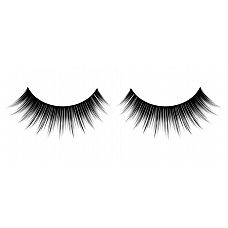       Premium 
       , ,     .