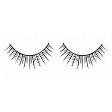       Premium 
 , ,    ,      .