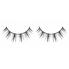   - Premium 
        .