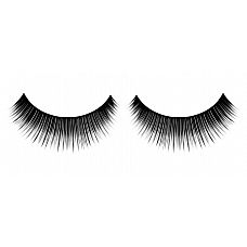     Premium 
,            .