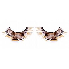  - 
          , -, ,    .