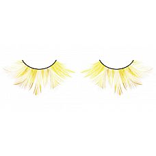 -   
         -    .