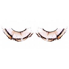 - - 
         ,    .