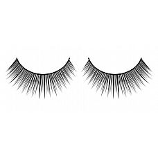     Premium 
      ,    .