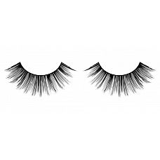      Deluxe 
           .