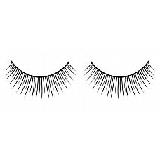         Deluxe 
             .