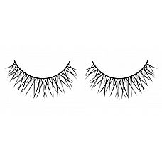  ,     Deluxe 
     ,       .