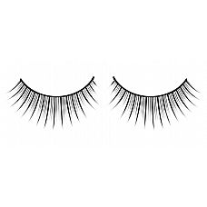  ,     Premium 
               .