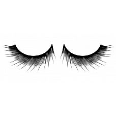  ,     Deluxe 
            ,   .