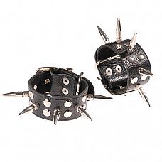 ������ ������� ��������� � ������ � ����������  
����������� �� ����������� ����.