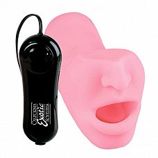 <strong>Ротик наслаждения Aria</strong> <br />
Розовый ротик-мастурбатор из реалистичного материала Soft Touch с вибрирующим и делающим ротационные движения языком.<div class="charTableblock"> </div> Ротик наслаждения Aria
Розовый ротик-мастурбатор из реалистичного материала Soft Touch с вибрирующим и делающим ротационные движения языком.