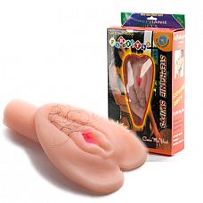    Fire Sester   
   -,     .